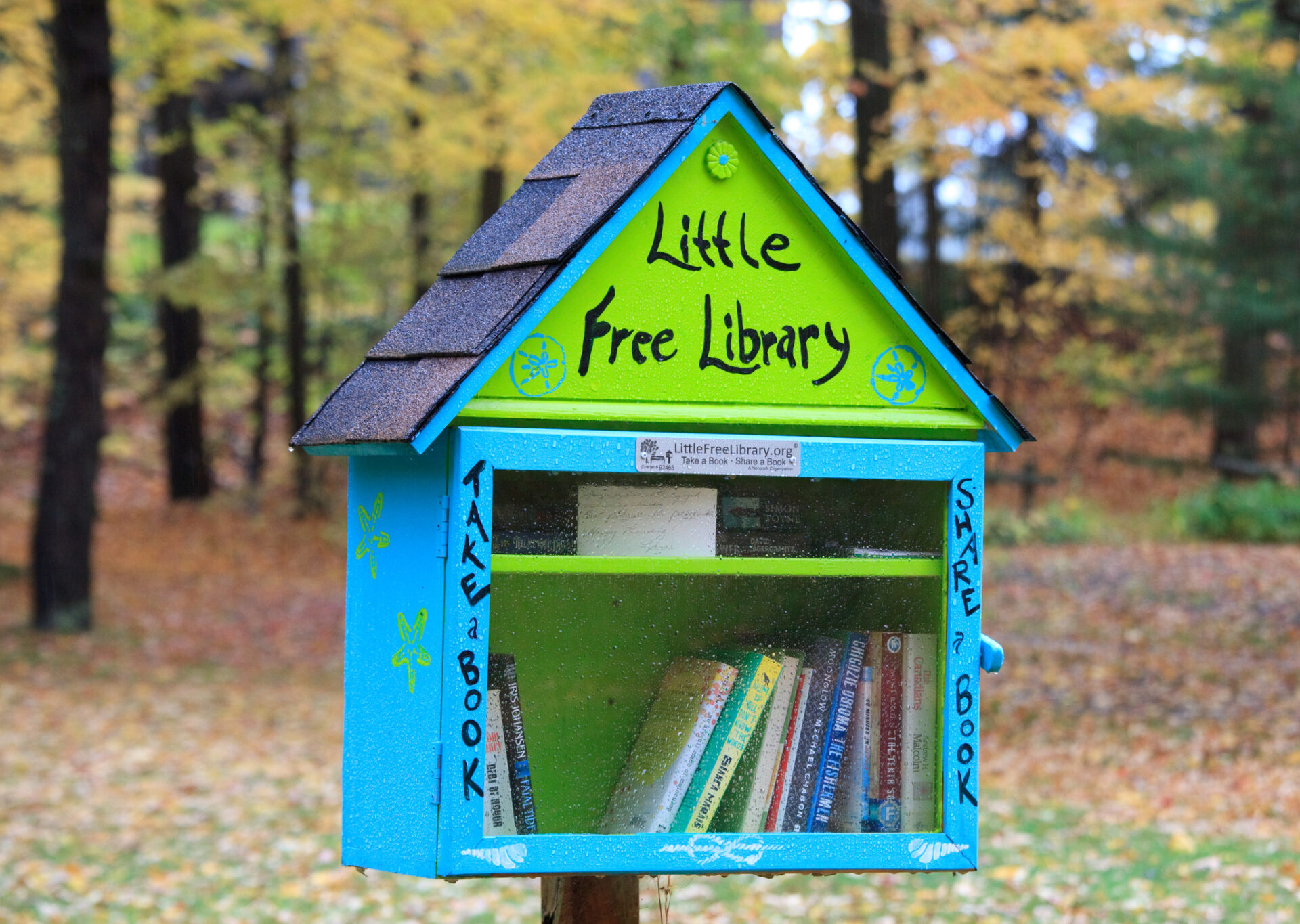 A cute free library at a cottage.