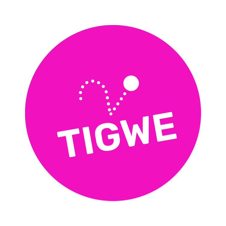 TIGWE-2
